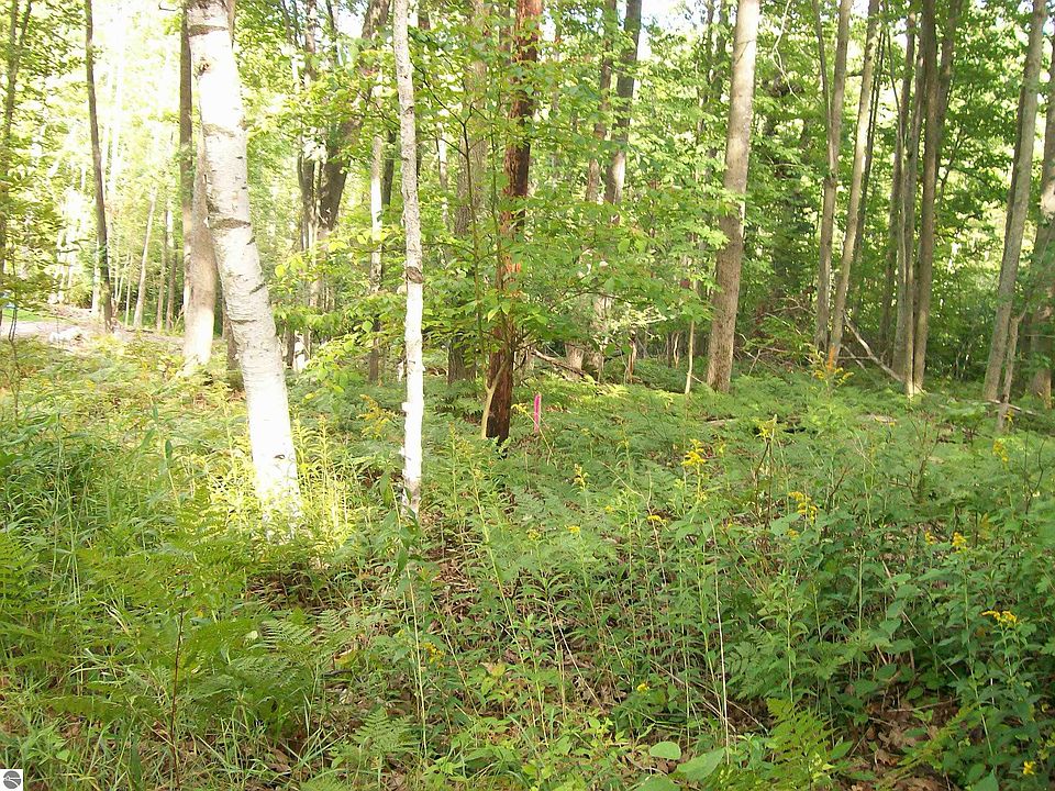 1st image of LOT 484 N Ogemaw Trl #484