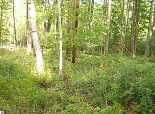 LOT 484 N Ogemaw Trl #484, West Branch, MI 48661