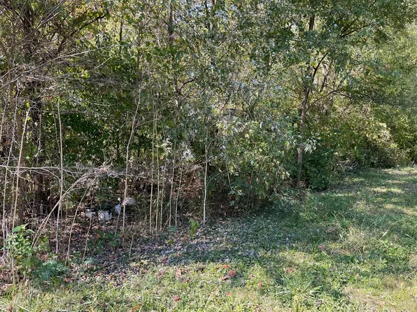 0 Davis Rd, Bainbridge, OH 45612
