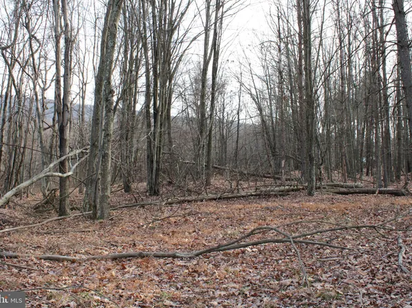 21.16 Ridge View Rd, Moorefield, WV 26836