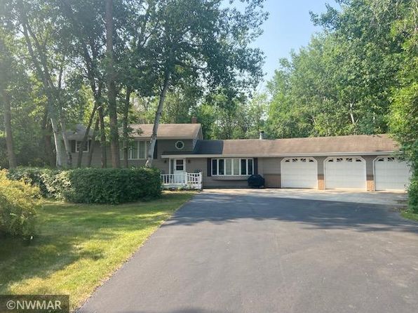homes for sale near thief river falls mn