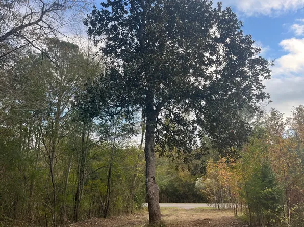 9899 Greathouse Mountain Rd, Warrior, AL 35180