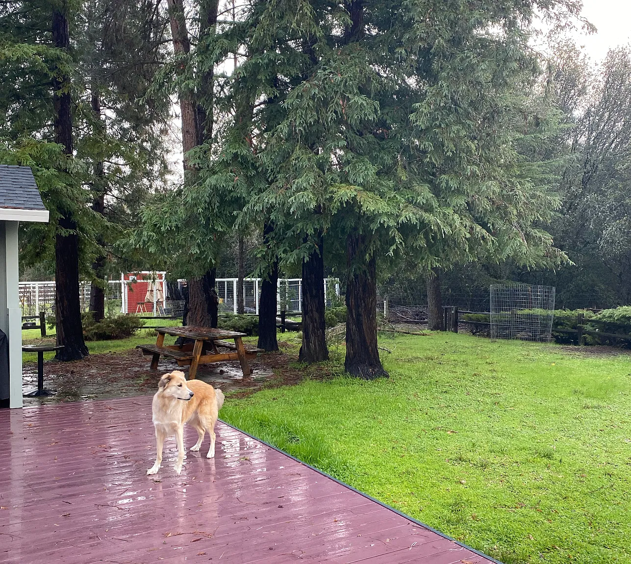 3 bed, 1550 sqft, $2,350 — Photo 4