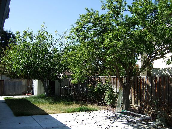 5th image of 863 Viceroy Way
