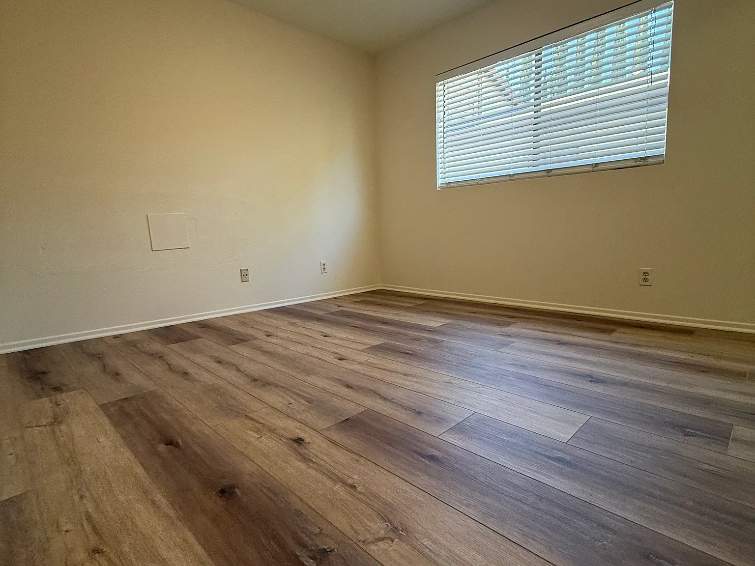 1 bed, 650 sqft, $1,950 — Photo 4