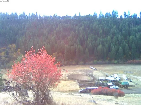 86137 Chesnimnus Ln, Enterprise, OR 97828