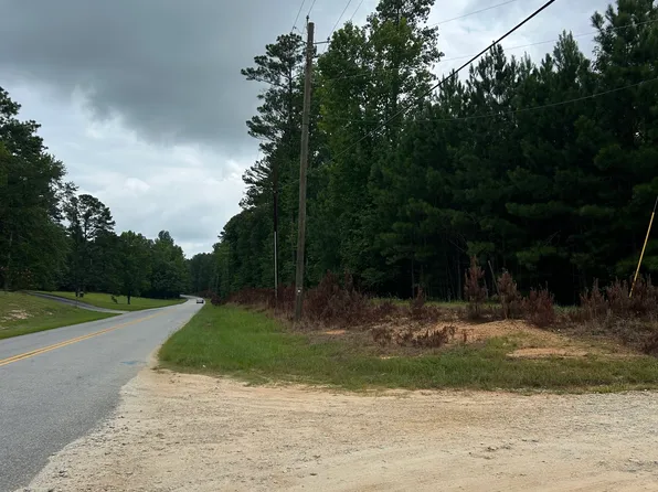 County Road 79 Clark St, Roanoke, AL 36274