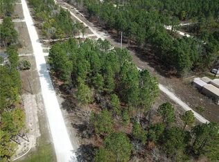 12421 Albany Rd, Weeki Wachee, FL 34614