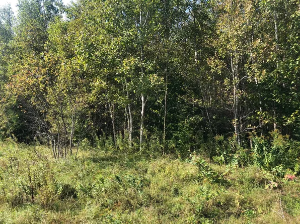 20.2 Island Falls Road, Sherman, ME 04776