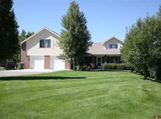 941 Cypress Wood Ln, Delta, CO 81416