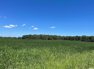 5678 Center St, Mulkeytown, IL 62865