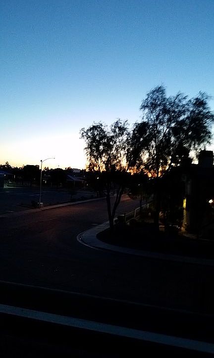 A.M. View from Balcony 