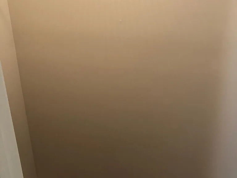 Rear Bedroom Closet