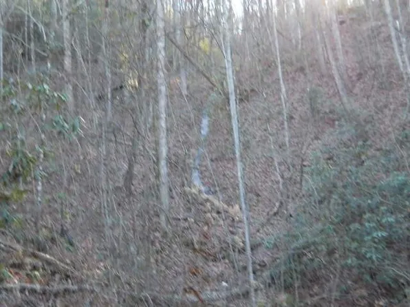 2528 Rickman Airfield Rd #0, Clayton, GA 30525