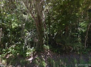 2445 Taylor Rd, New Smyrna Beach, FL 32168