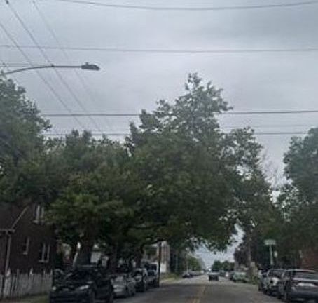 Exterior Neighborhood (street photo)