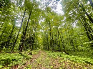 N Fordville Rd, Foster City, MI 49834