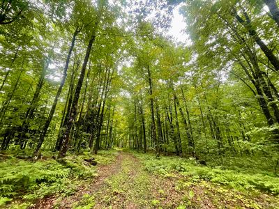 N Fordville Rd, Foster City, MI, 49834