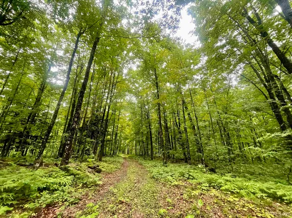 N Fordville Rd, Foster City, MI 49834