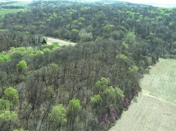 L Avenue, Fairfax, MO 64446