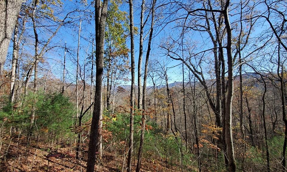 1st image of LOT 34 Mountain Vis