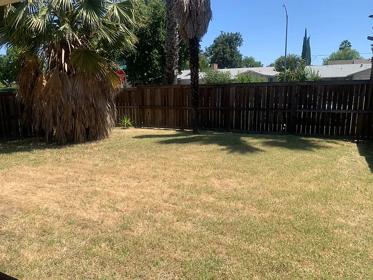 2419 Loyola Dr — Photo 6