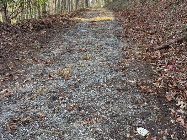 0 Amaryllis Ln, Tiger, GA 30576