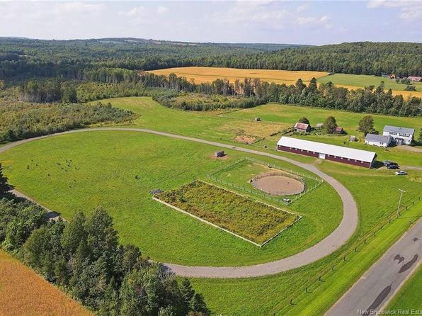 198 Bedell Settlement Rd, Woodstock, NB E7M 4S2