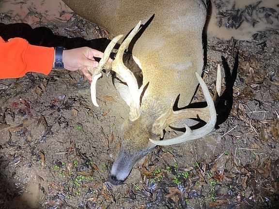 5th image of Tbd Jones Rd