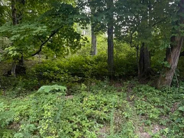 Cave Creek Road Off Rd, Loudon, TN 37774