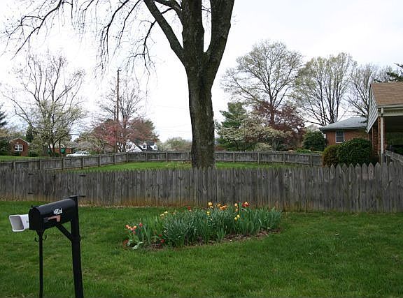 Fenced-in-yard in one side