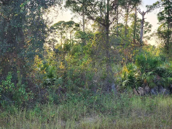 842 Genoa Avenue, Lehigh Acres, FL 33974