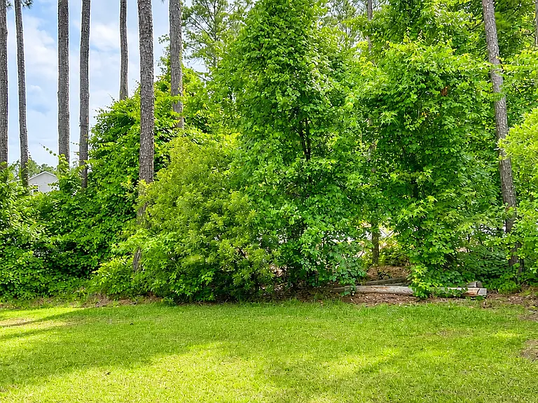 102 Benelli Dr — Photo 27