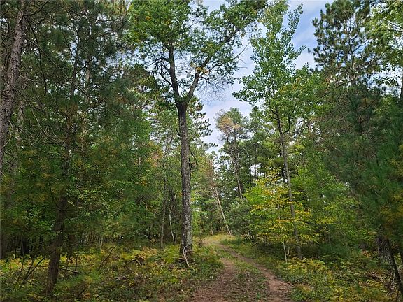 2nd image of Lot 2 Mallard Lake Road