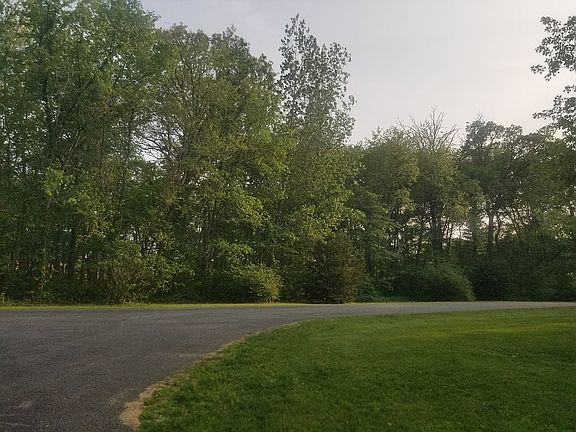 4th image of Orchid Ln