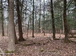 LOT 1372 Three Logtown Rd, Sprakers, NY 12166