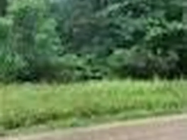 Cedar Creek Dr, Winnfield, LA 71483