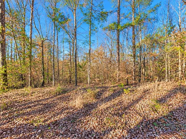 0 Lee Road 352, Salem, AL 36874