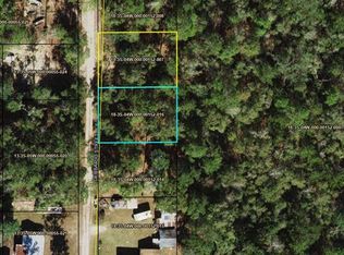 Xxx Gerbarjo St, Sopchoppy, FL 32358