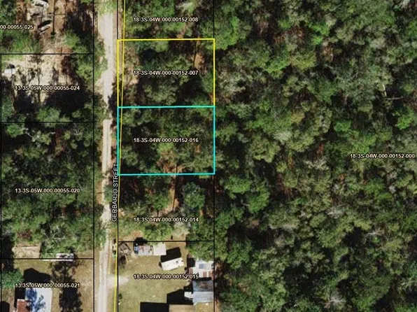 Xxx Gerbarjo St, Sopchoppy, FL 32358
