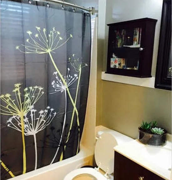 Bathroom with shower and bath tub.