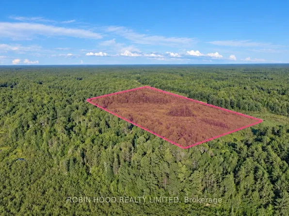 4501 Upper Big Chute Rd, Severn, ON L0K 1E0