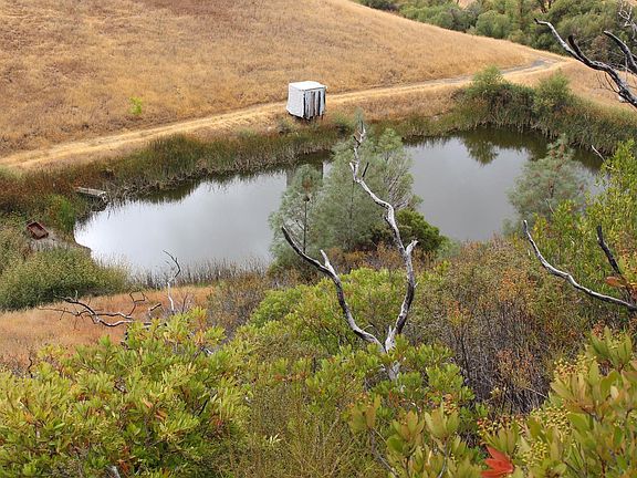 2nd image of 8740 Rocky Creek Road