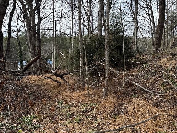 3rd image of 239 Mullin Hill Rd