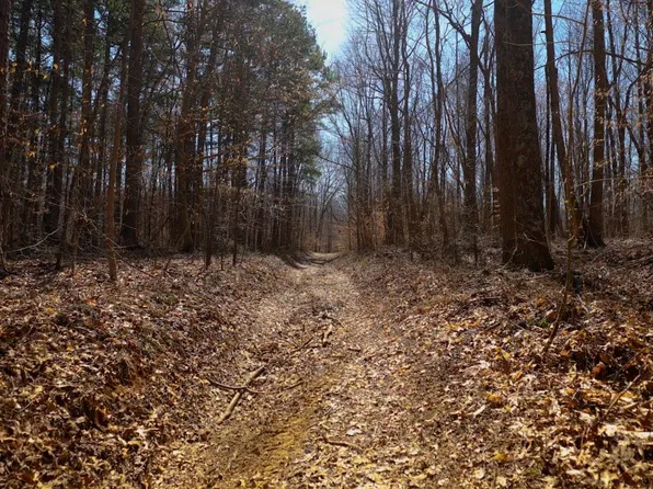 Taylor Mine Rd Lot Wp001, Beaver Dam, KY 42320