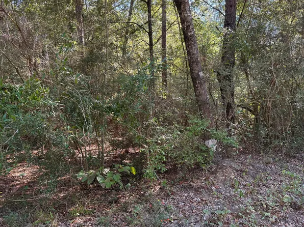 Painter Branch Rd, Crestview, FL 32539