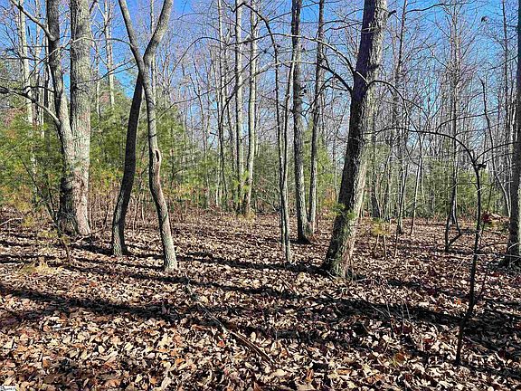 5th image of 0 Highway 11 Lot 2