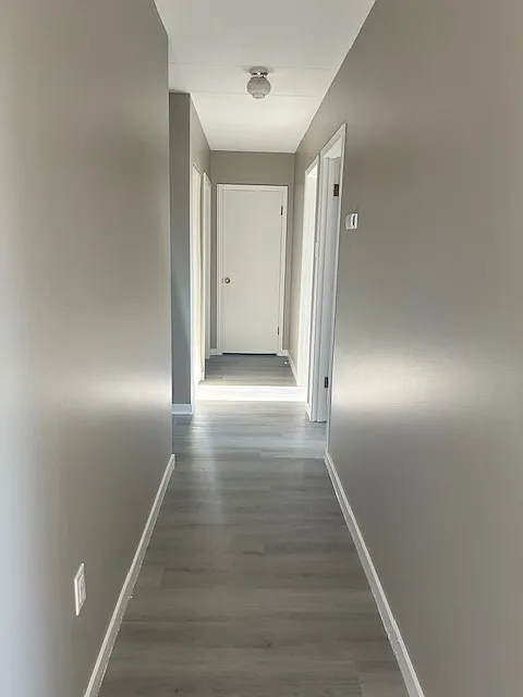 2 bed, $1,300 — Photo 4