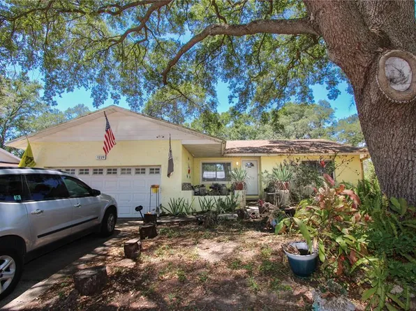 1229 Oak Valley Dr, Seffner, FL 33584