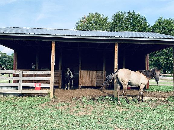 3 stall 10x12 w/12 ft lean 